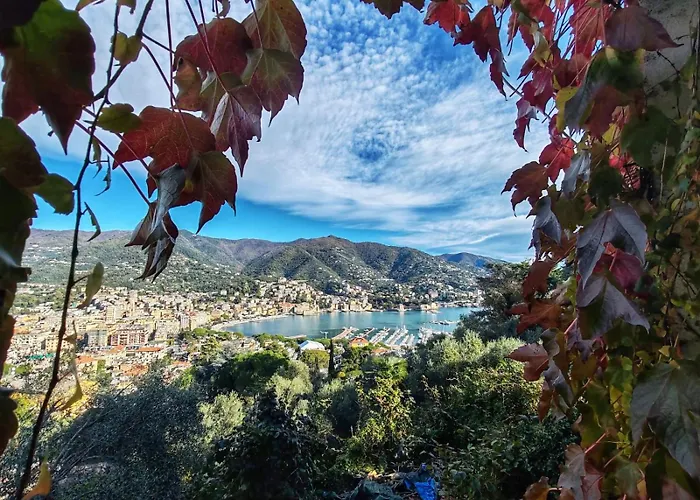 Villa Sunrise Rapallo